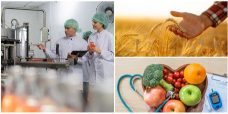 AURAK researcher's study demonstrates how the use of IoT and blockchain can dramatically boost food safety